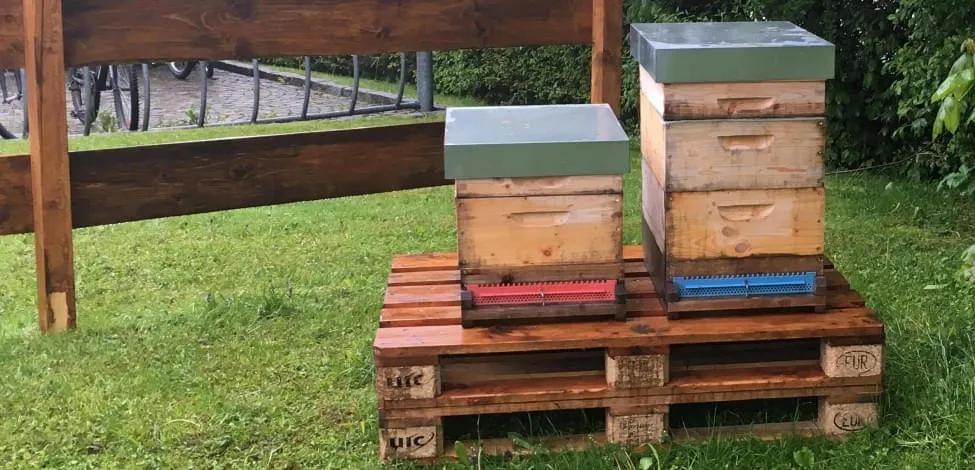 '.Bienenstock im Garten.'
