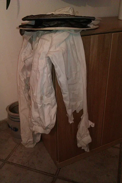 Mäuse 1 Imkeranzug und Mäuse